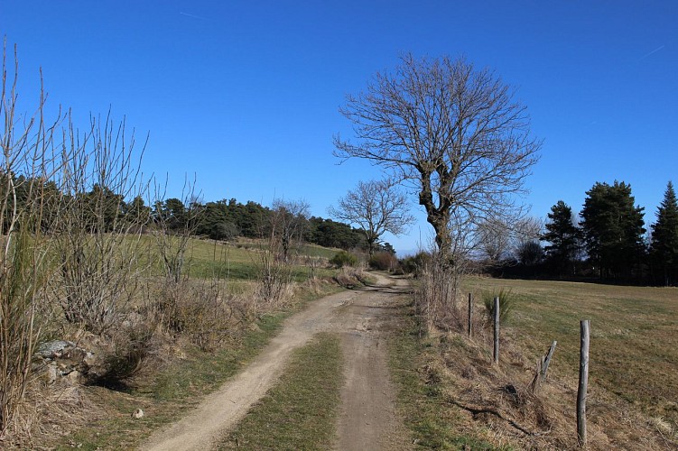 Le Puy de Montchaud - PR 15