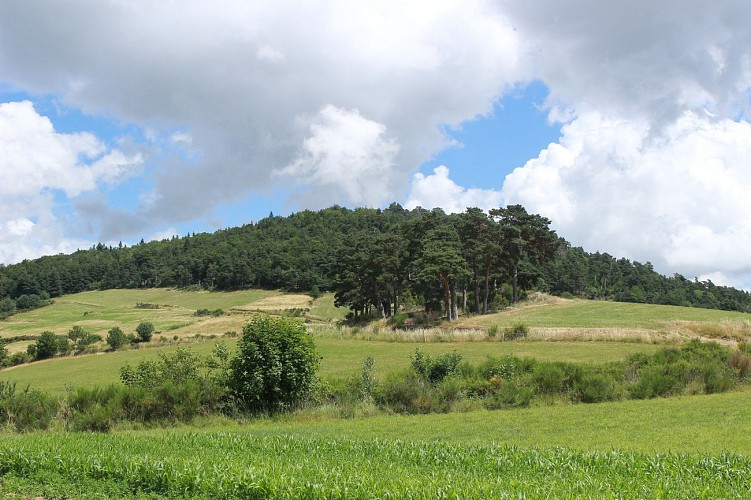 Le Vallon de la Trézaillette - PR 16