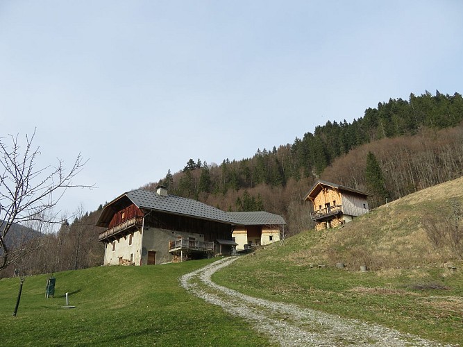 Sentier de randonnée