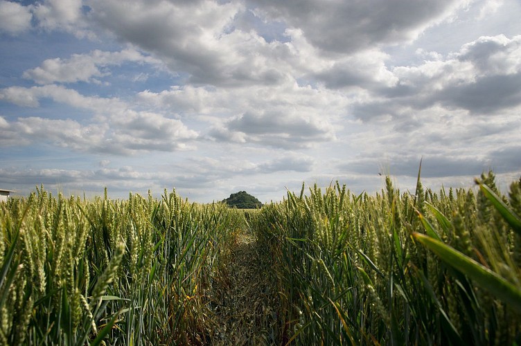 Saint Lugle - Saint Luglien