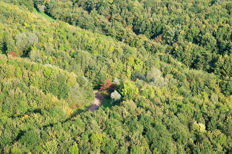 Saint Lugle - Saint Luglien