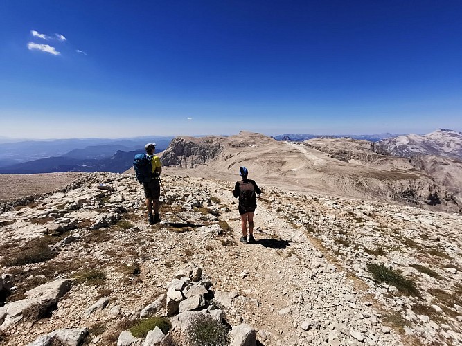 Pic de Bure depuis les Sauvas