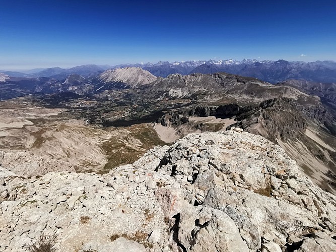 Pic de Bure depuis les Sauvas