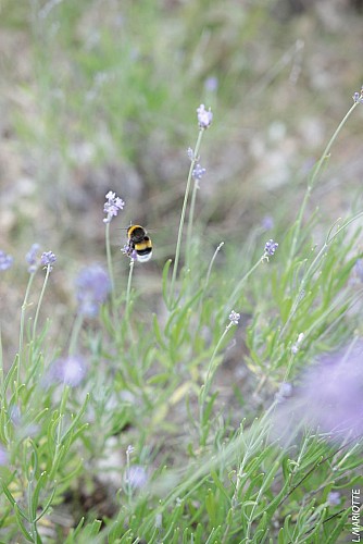 Col de Pierrefeu depuis Glaise