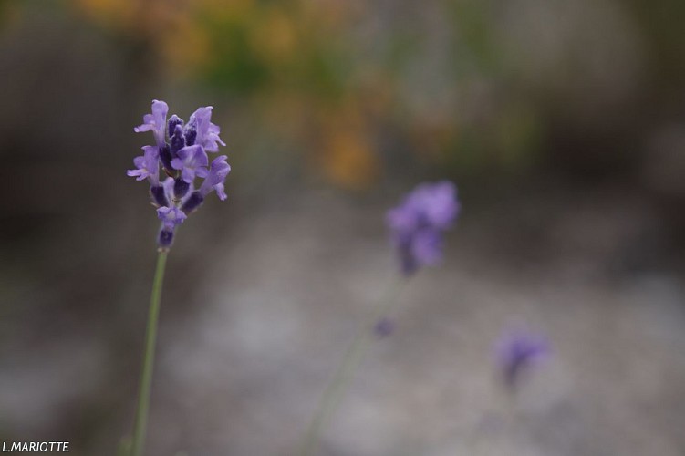 Col de Pierrefeu depuis Glaise