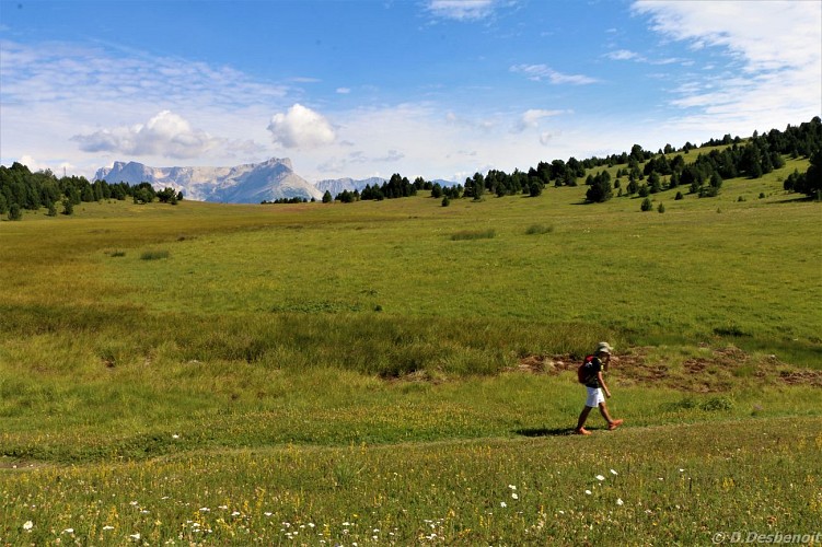 Pic de Céuse par Châtillon