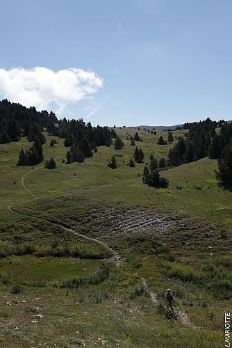 La Manche