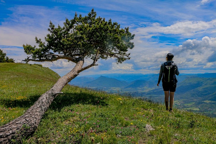 la boucle de Saint Apotre