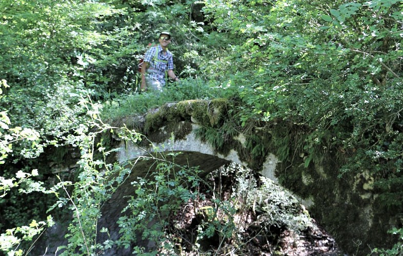 sentier thématique-Montbrand