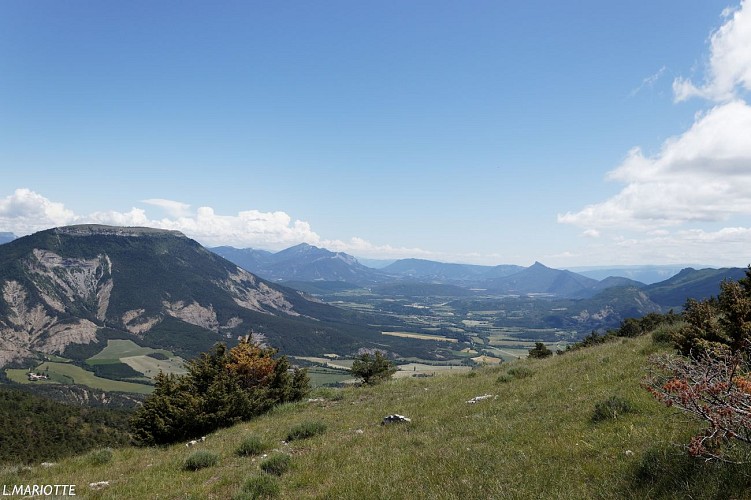 La Montagne d'Aureille