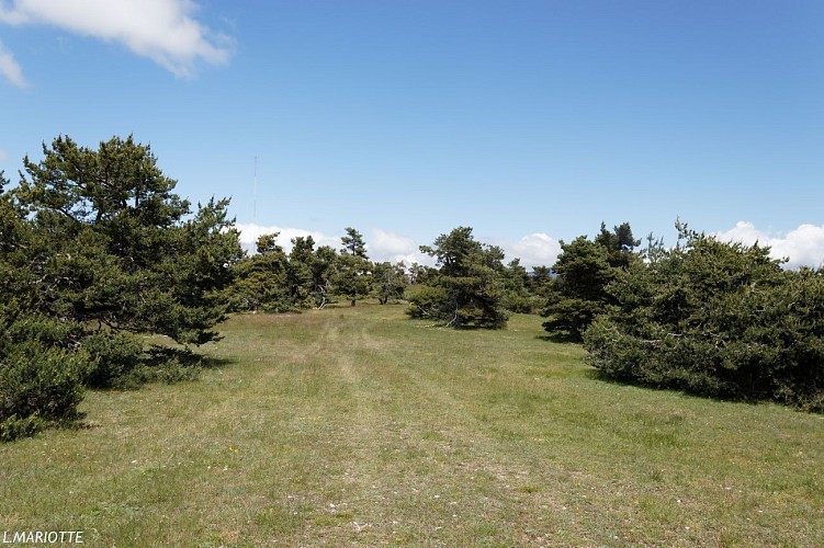 La Montagne d'Aureille