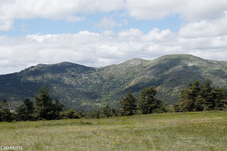 La Montagne d'Aureille