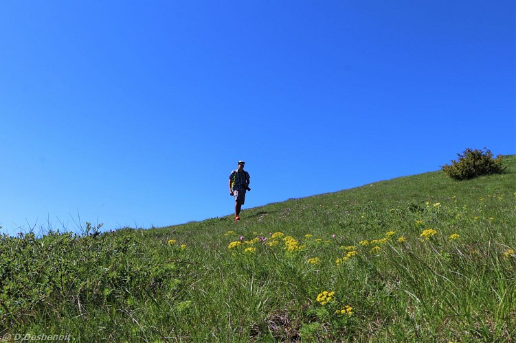 Les crêtes de Luzet