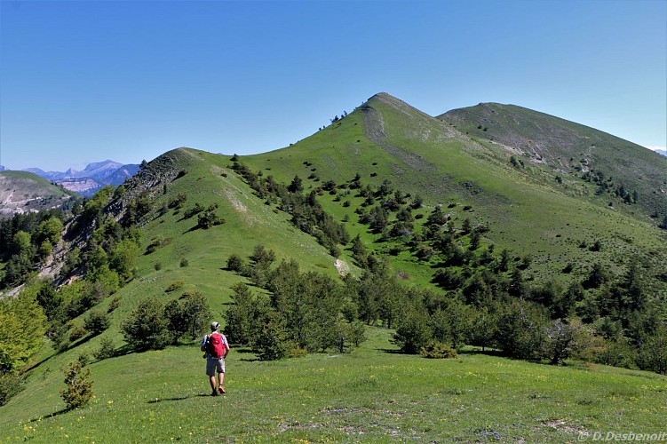 Les crêtes de Luzet