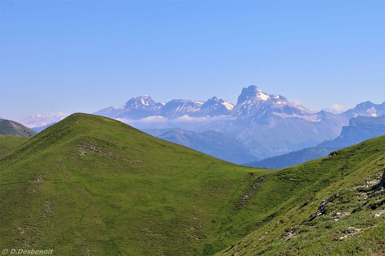 Les crêtes de Luzet