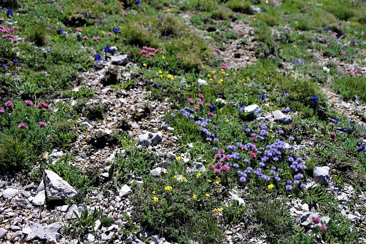 Les crêtes de Luzet