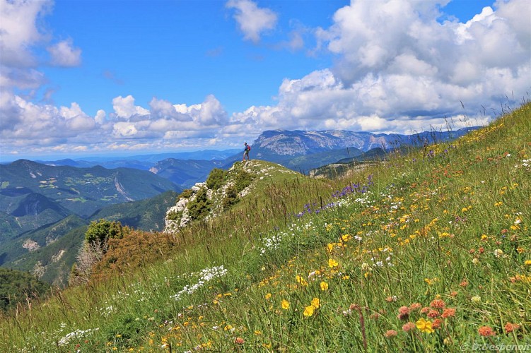 La Randonnée du Quigouret