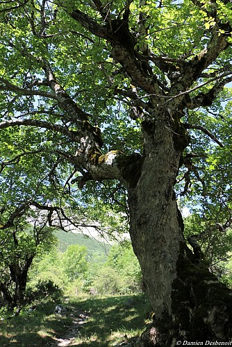 Le sentier des bancs