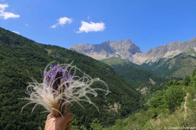 Le sentier des bancs