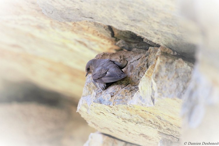 Le sentier des bancs