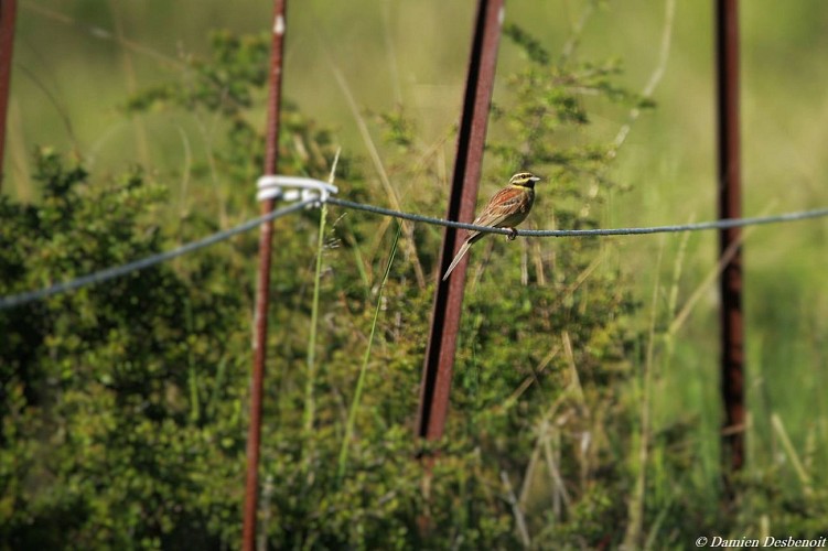 Petite boucle de l'Eygau
