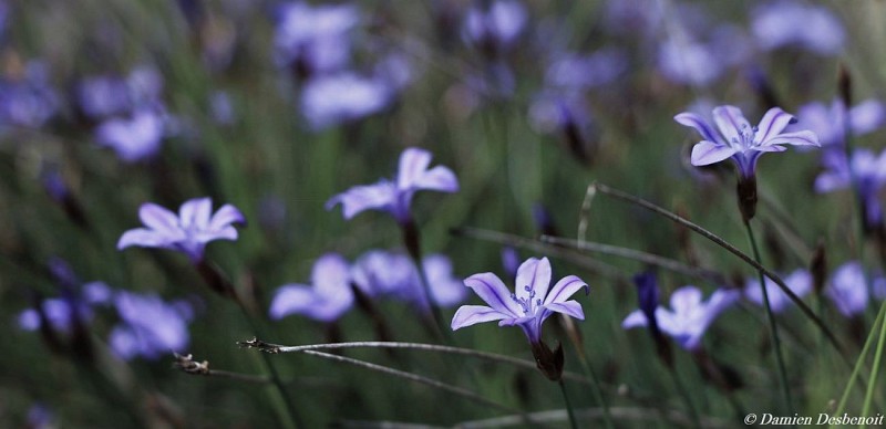 Petite boucle de l'Eygau