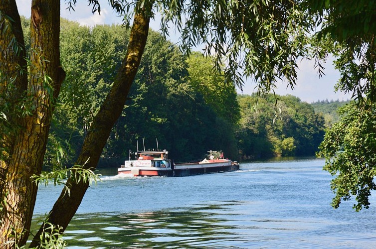 De gare en gare Fontainebleau - Avon / Moret - Veneux-les-Sablons En suivant le TMF (Tour du massif de Fontainebleau)