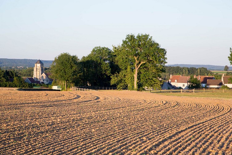 Les Marais de Feigneux et Pondron