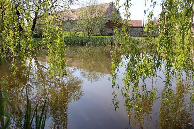 Boucle dans les Gombries