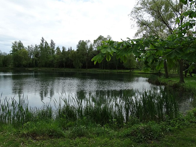 Étang de Saint Félix