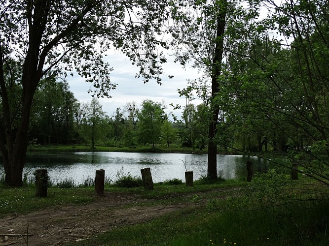 Étang de Saint Félix