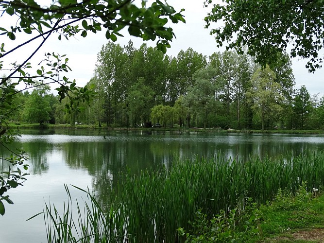 Étang de Saint Félix