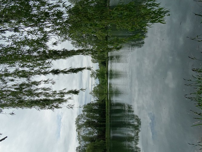 Étang de Saint Félix