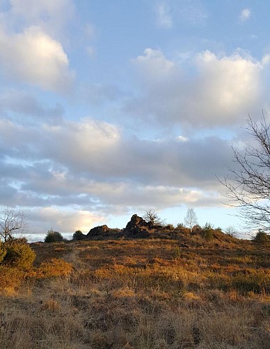 Sentier d'interprétation Landes du Cluzeau et de la Flotte