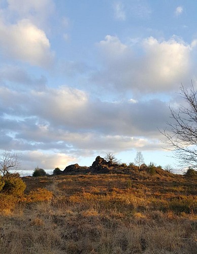 Sentier d'interprétation Landes du Cluzeau et de la Flotte_1