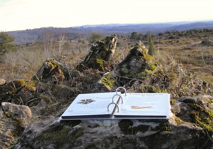 Sentier d'interprétation Landes du Cluzeau et de la Flotte_2