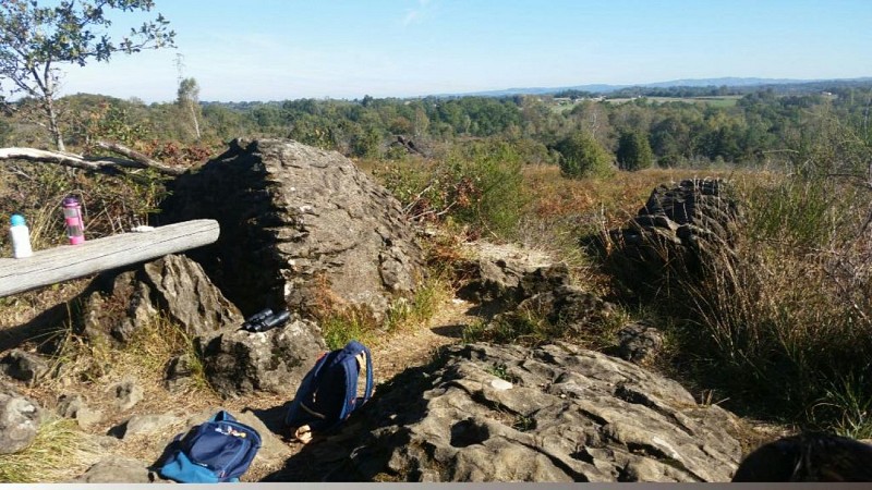 Sentier d'interprétation Landes du Cluzeau et de la Flotte_3