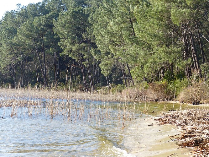 bord de lac piqueyrot