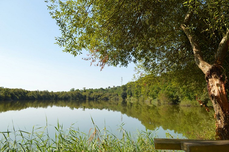 Lagune de Contaut - © Médoc Atlantique (40)