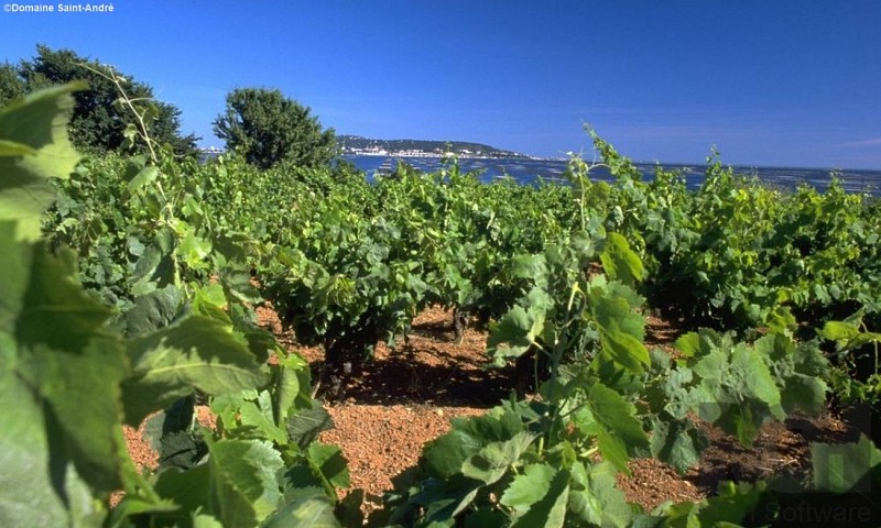 Domaine Saint-André