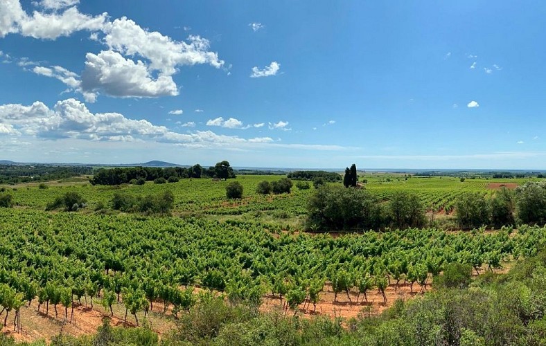 Circuit le petit Picpoul
