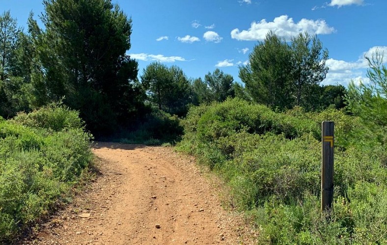Circuit le petit Picpoul