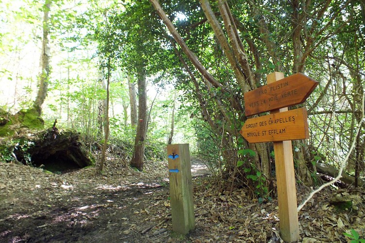 Balade sur le site du Grand Rocher