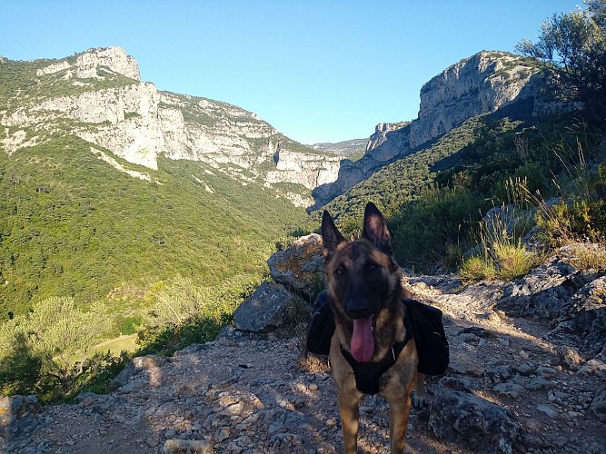 Montpellier / Mont Aigoual
