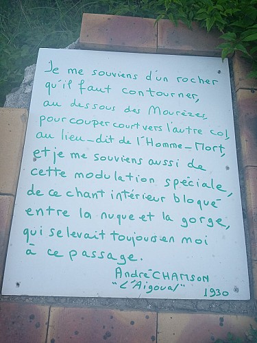 Montpellier / Mont Aigoual