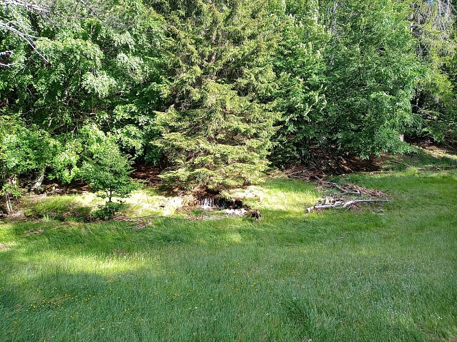 Montpellier / Mont Aigoual