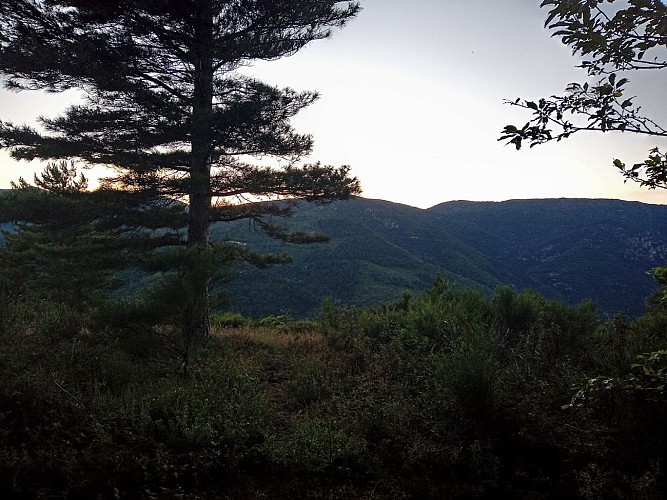 Montpellier / Mont Aigoual