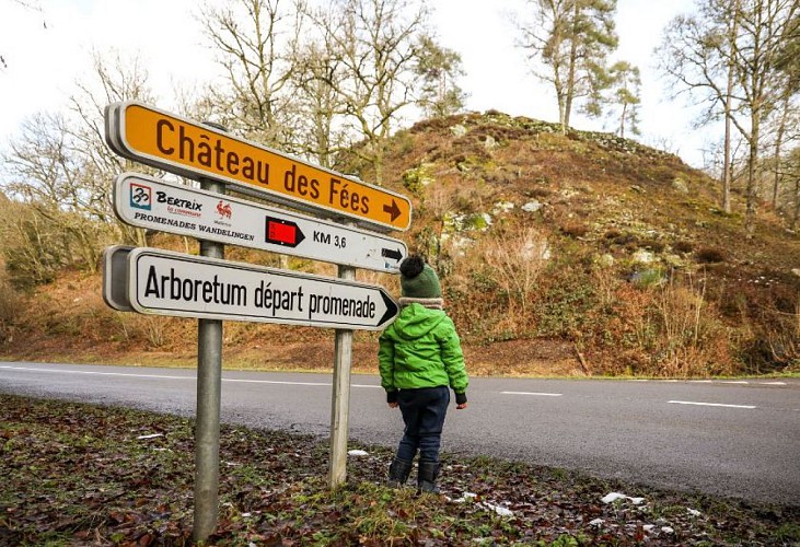 Wandeling van 5 tot 10 km in Bertrix - La Morepire