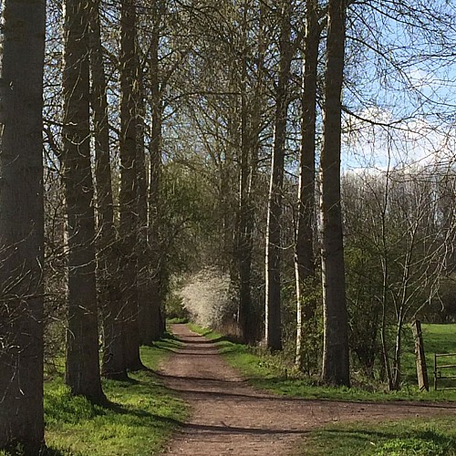 Coin de campagne en pleine métropole de Lille.