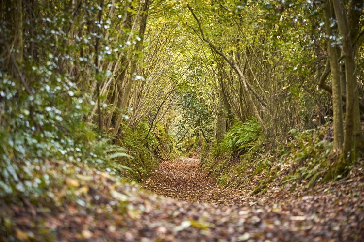 Les Deux Clochers - Montpinchon
